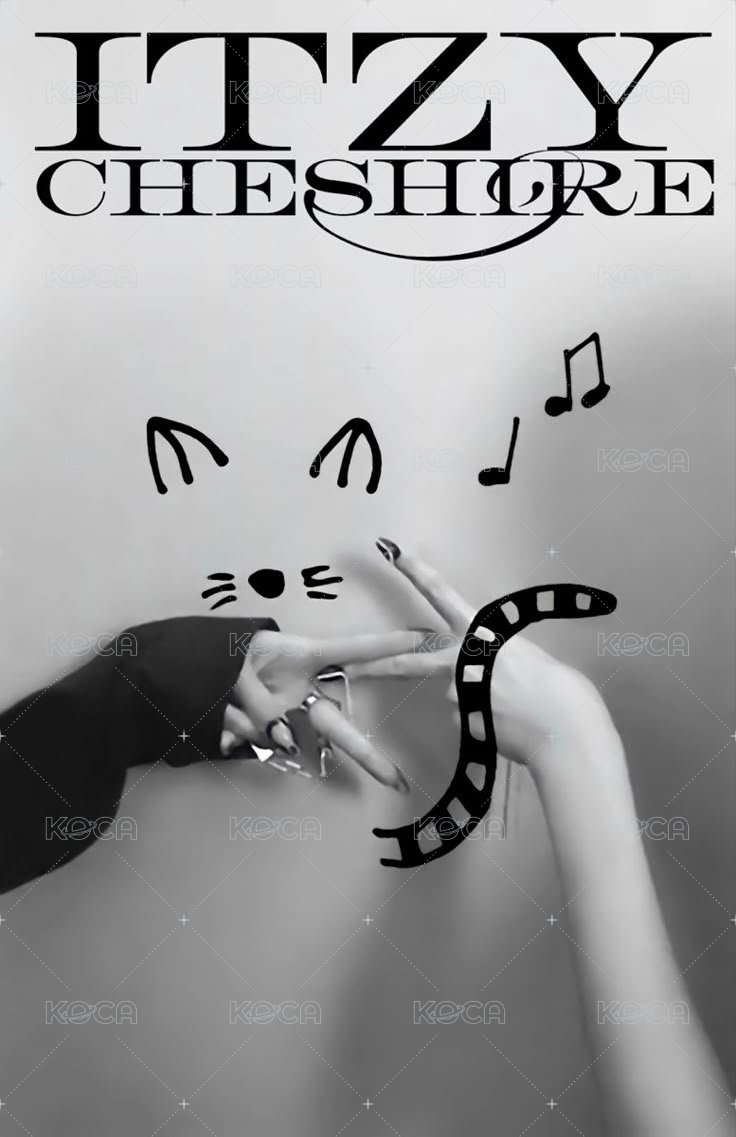 CHESHIRE 專輯卡 雙人卡 背面