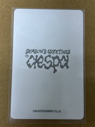 aespa Karina 柚子 2025年曆 年曆卡 固配官拍柚