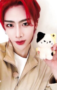 zeroni 周邊卡 盒娃卡