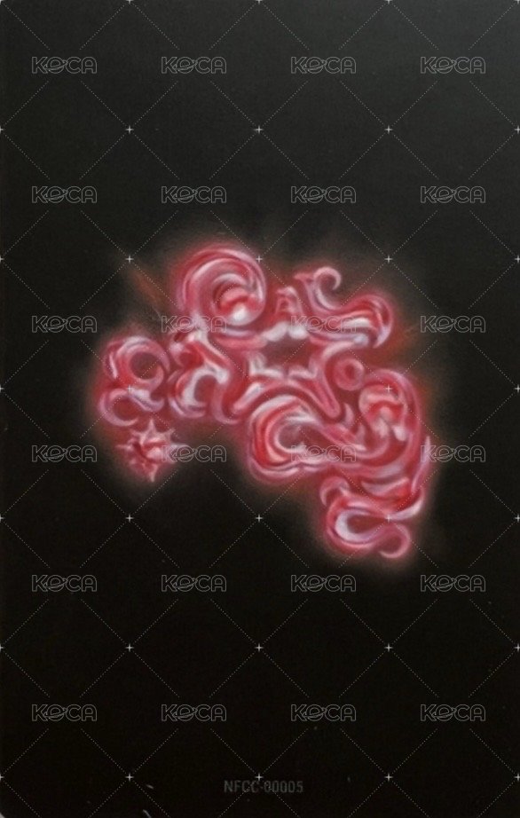 NEW DNA 專輯卡 ver.X 背面