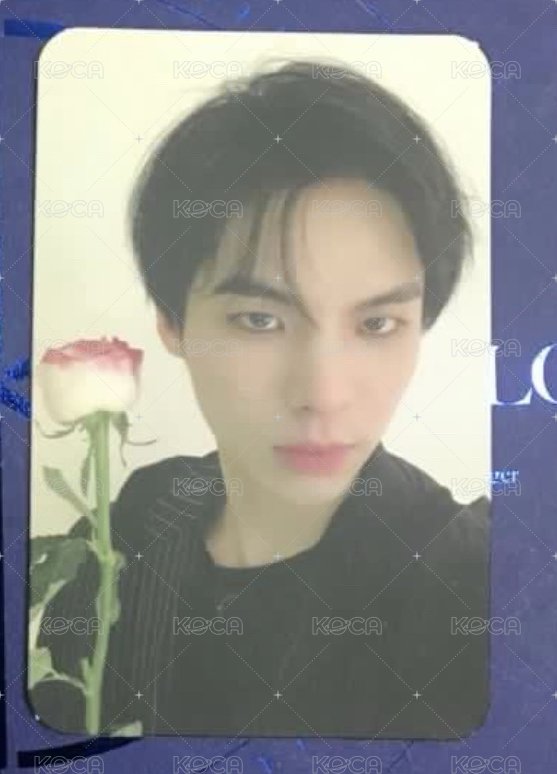 迷一 專輯卡  正面