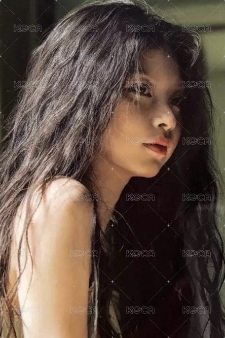 UG 船特 特典卡 綠底 正面