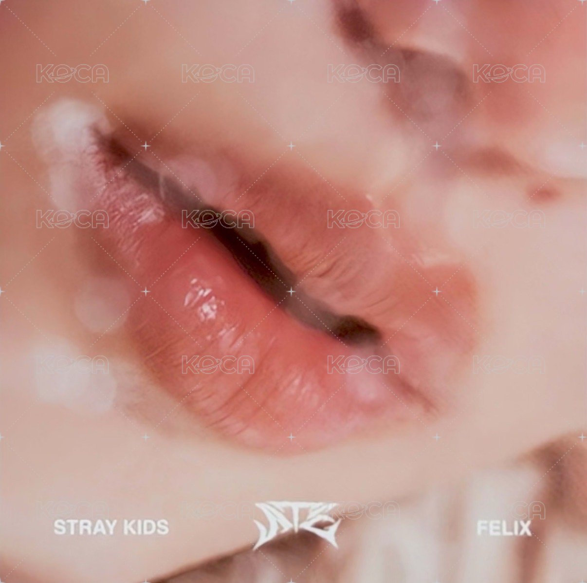 ATE 專輯卡 Accordion ver. 唇卡 正面