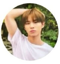 SUMMER BEAT! wvs 圓扇 明信片 