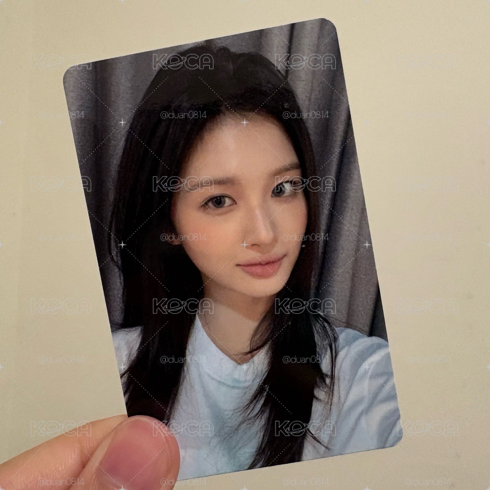 JYP預售 薛
