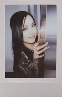 BORN PINK 專輯卡 Gray ver.Pola B ver.