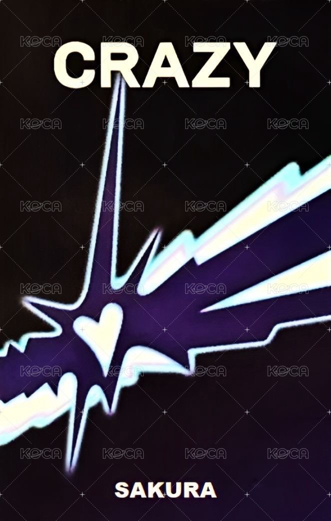 CRAZY 打歌卡 1.0 背面