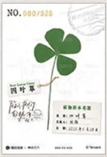 陷入我們的熱戀收藏卡隨機 吾流版 隨機卡 過塑卡（單款限量528張，每張卡背都有專屬編號） 背面