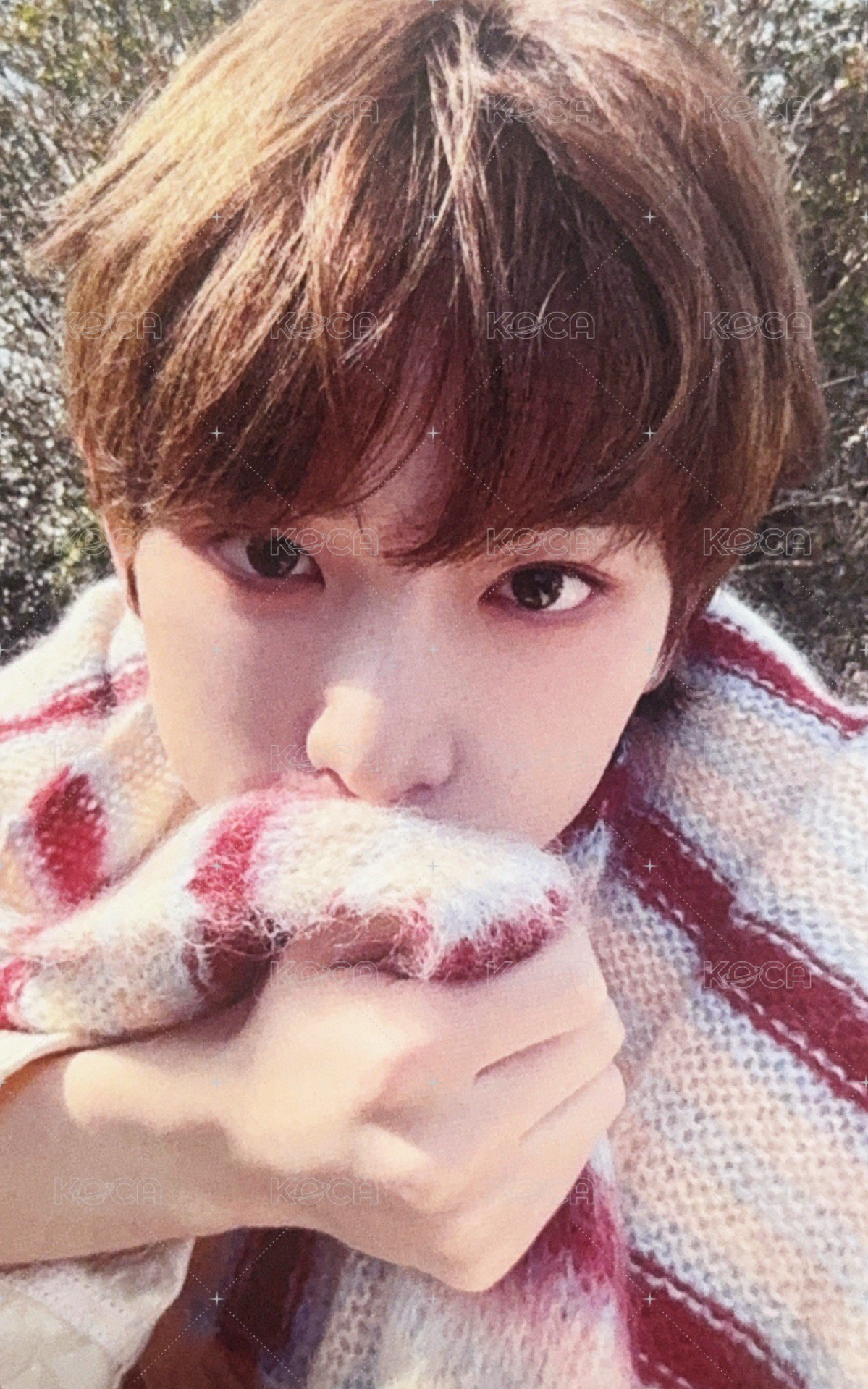 五月雨 (Samidare) 日咖 1.0 幸運卡  正面