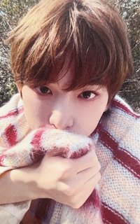 五月雨 (Samidare) 日咖 1.0 幸運卡 