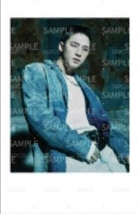 10週年 wvs 周邊卡 鑰匙圈拍立得 正面