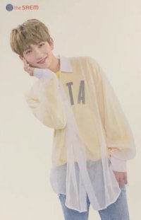 the SAEM 代言卡 