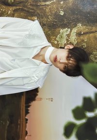 24’巡迴 隨機卡 