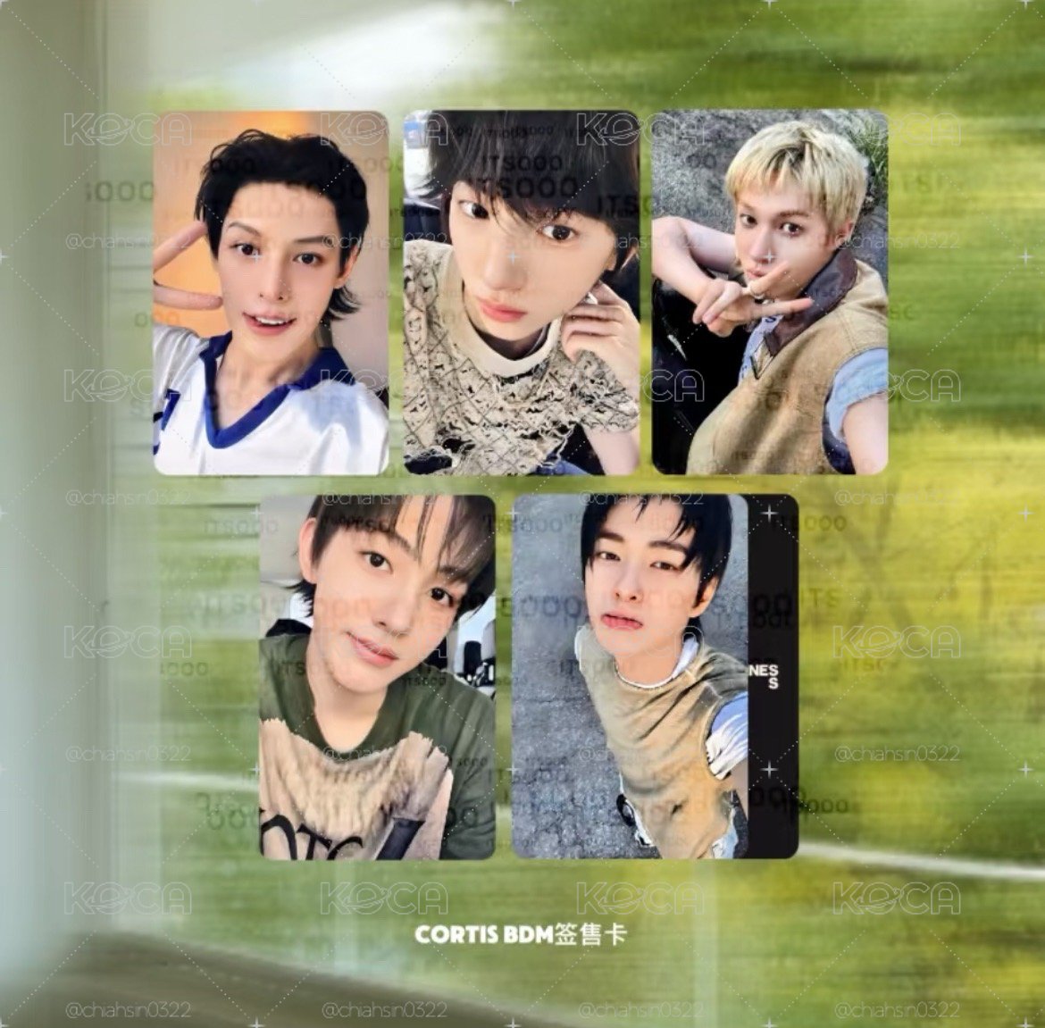 CORTIS BDM簽售卡