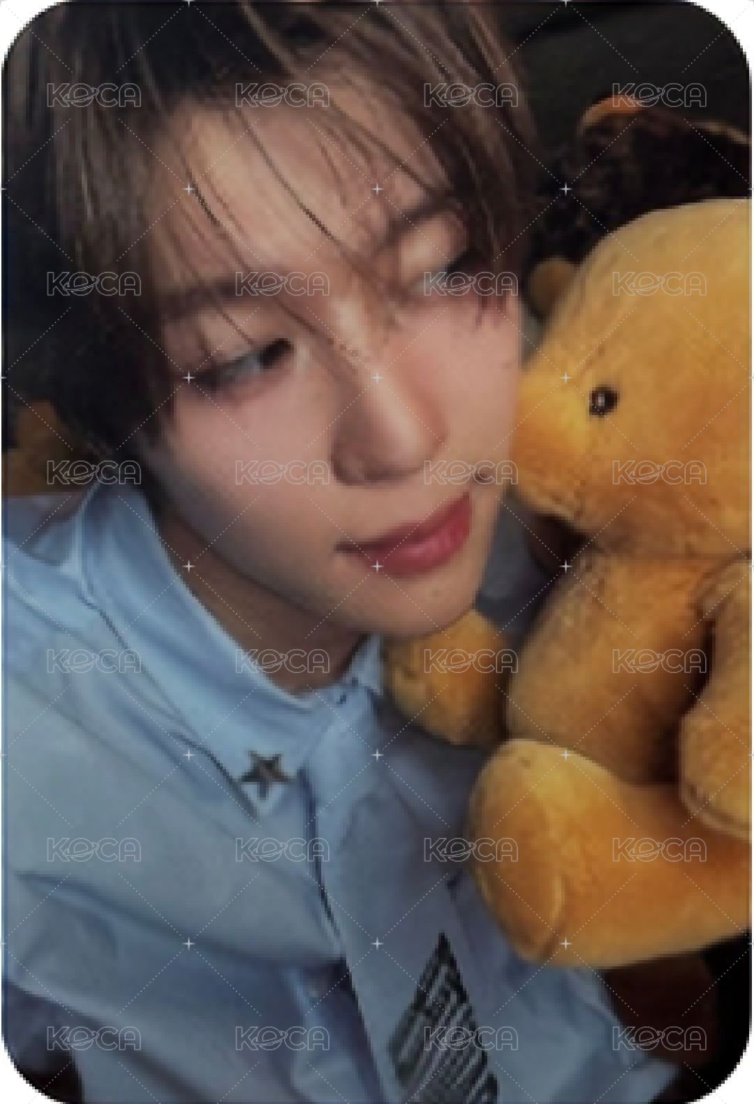 Steady 專輯卡 紅版 正面