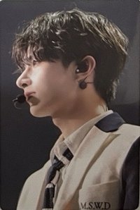 FOLLOW FELLOW 隨機卡 