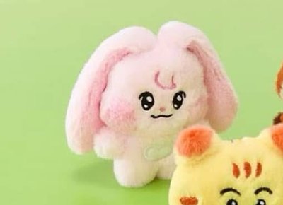 💚快閃娜吊飾鑰匙圈（全新未拆）