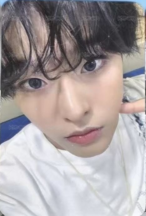 Steady wm 1.0 簽售卡  正面