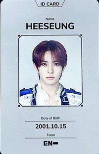 FATE世巡 ID卡 周邊卡 