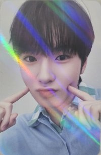 Steady ms 特典卡 Nct Wish Sakuya  預售