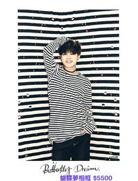 蝴蝶夢展覽相框 旻