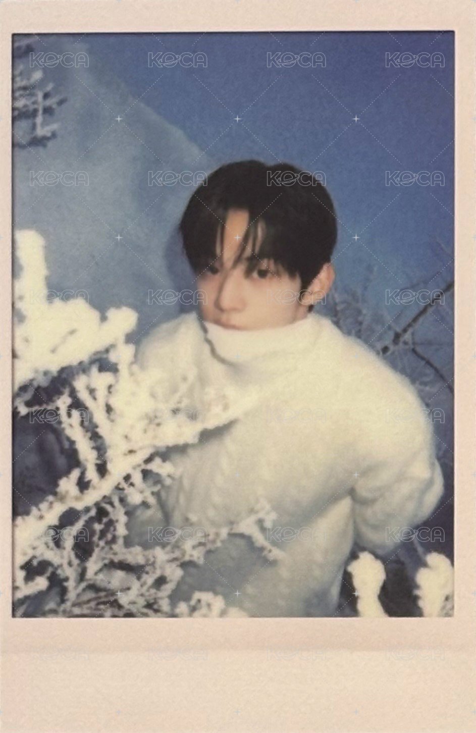 TWS:42 Selection Pack 周邊卡  正面