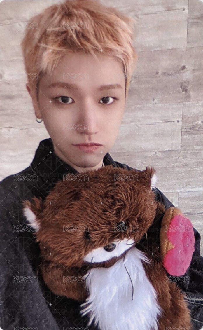 HOW? wvs 直播卡 單封版 直播手偶卡2 正面