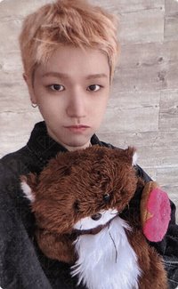 HOW? wvs 直播卡 單封版 直播手偶卡2