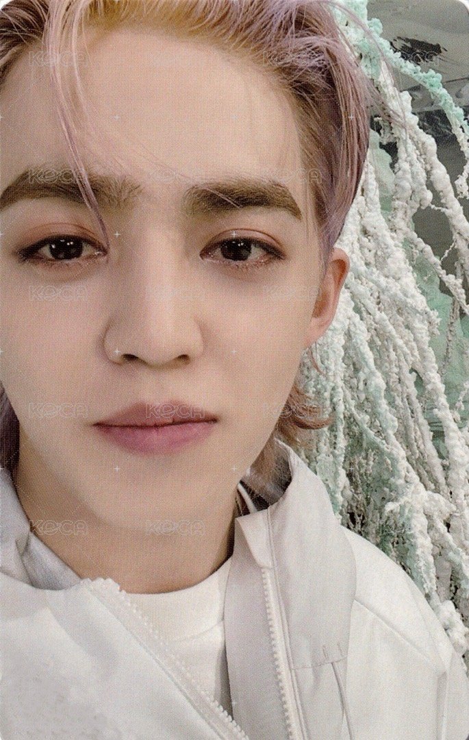 正四後續 專輯卡 正規四後續｜WVS電子專ver. 正面