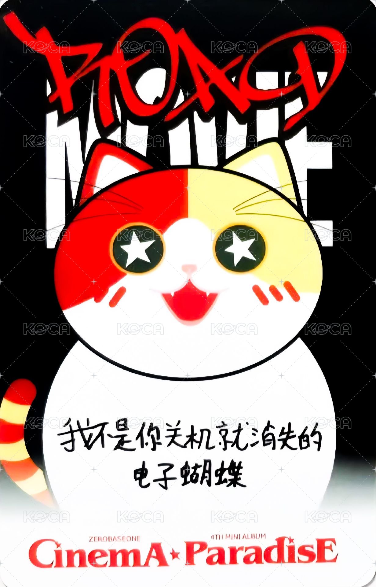 迷四 yzy 簽售卡 胖貓 ver. 背面