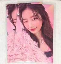 一葉-日咖幸運卡