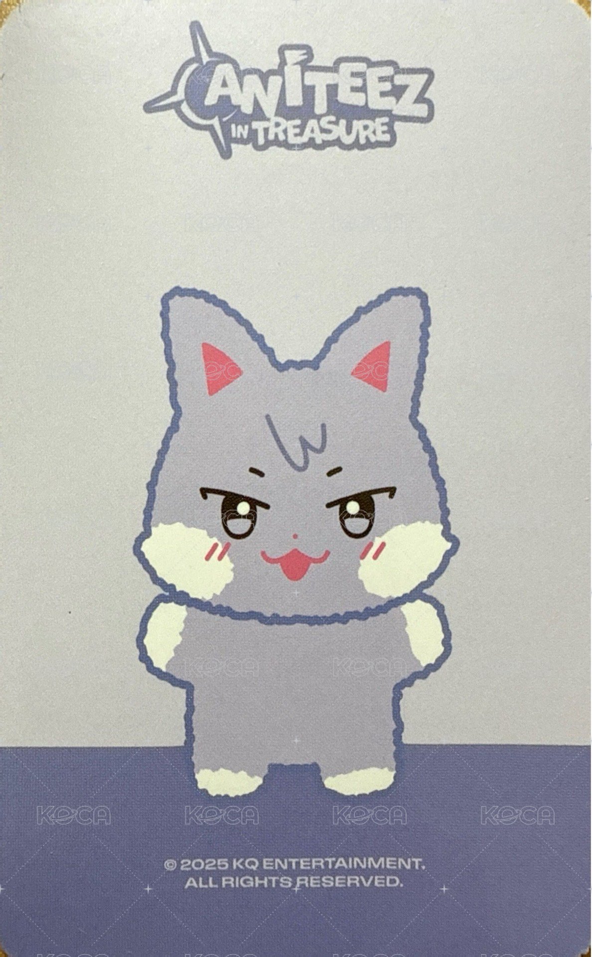 ANITEEZ IN TREASURE 周邊卡 MINI PLUSH 背面