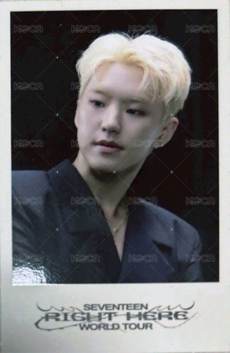 RIGHT HERE 演唱會 DVD / CD 卡 WVS預售特典 正面