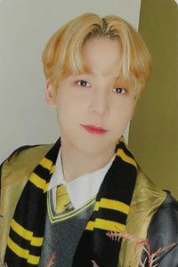 Fever pt.3 ms 4.0 簽售卡 哈利波特 ver.