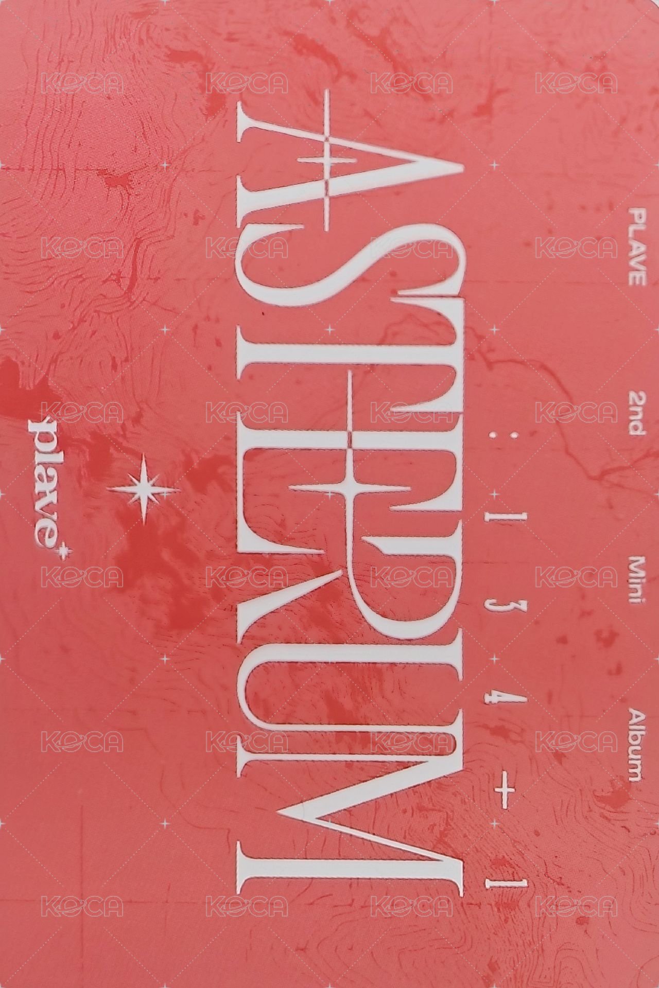 迷二 專輯卡 迷你cd專 團卡 背面