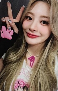 泰迪熊 el 簽售卡 