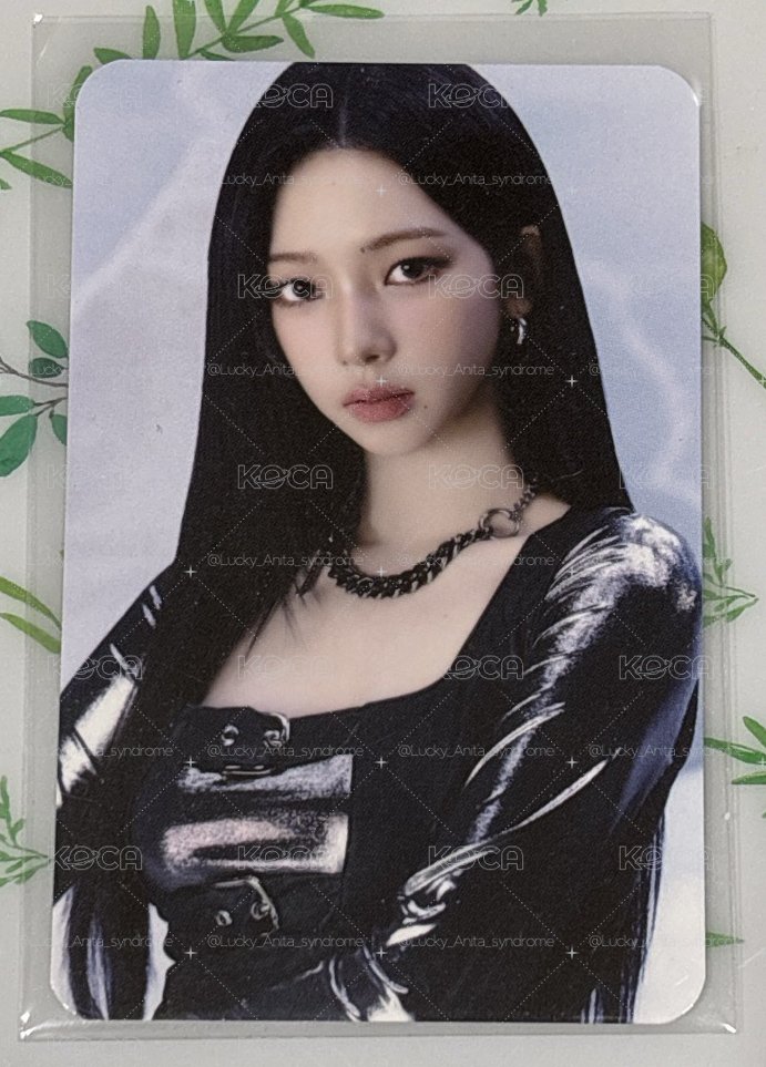 aespa 安可場周邊 Karina 卡套周邊小卡 柚