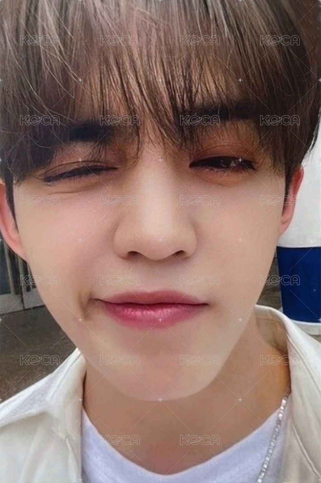 正四後續 蝦皮 簽售卡  正面