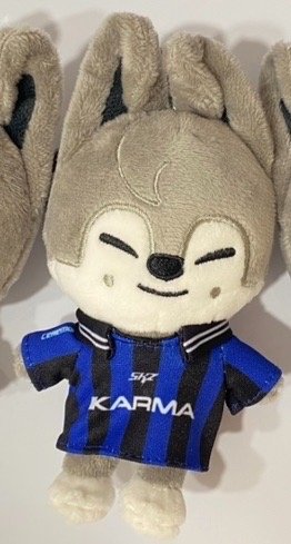 KARMA skzoo電子專娃專 