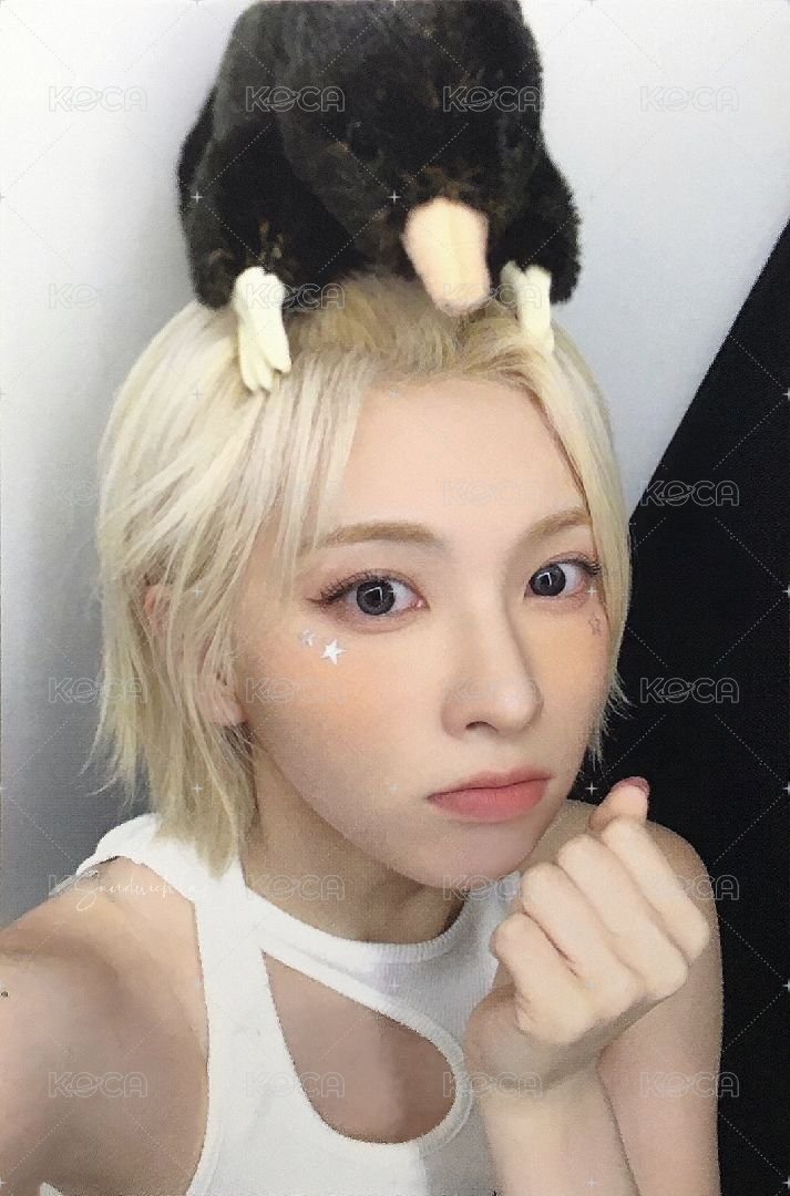 STICK OUT ms 簽售卡 6.0 鼹鼠裴 正面