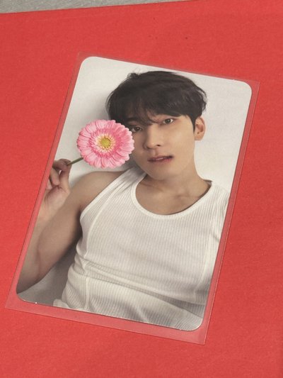 全圓佑克拉盤專卡/拍立得/kit專卡