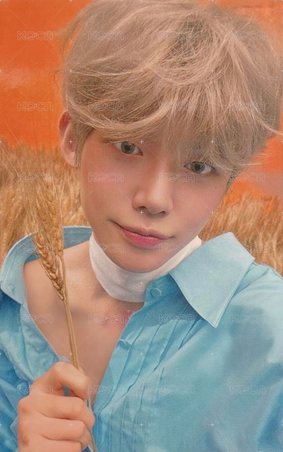 迷六 sw 1.0 幸運卡  正面