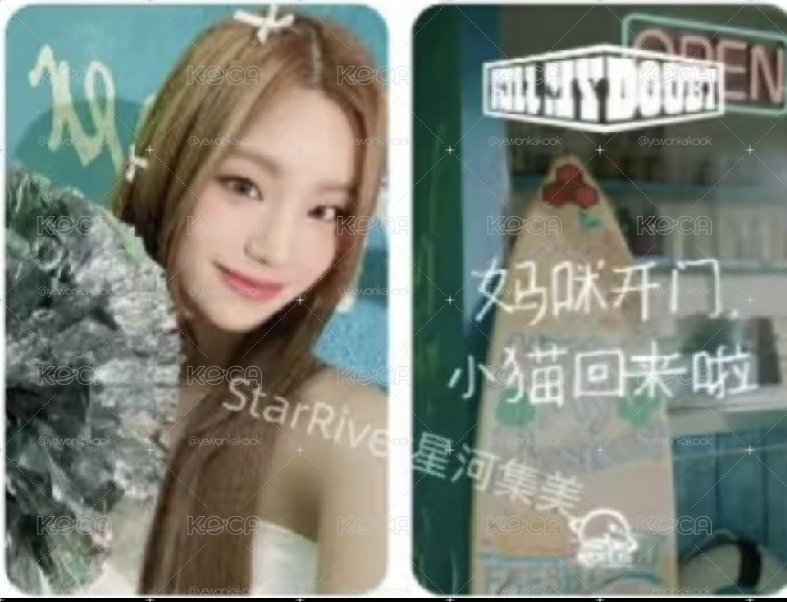 itzy黃禮志中背_媽咪開門，小貓回來啦