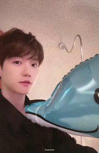 bolo3 專輯卡 jewel case dreamy AR B ver