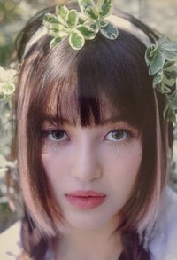 Get Up sponge 特典卡 