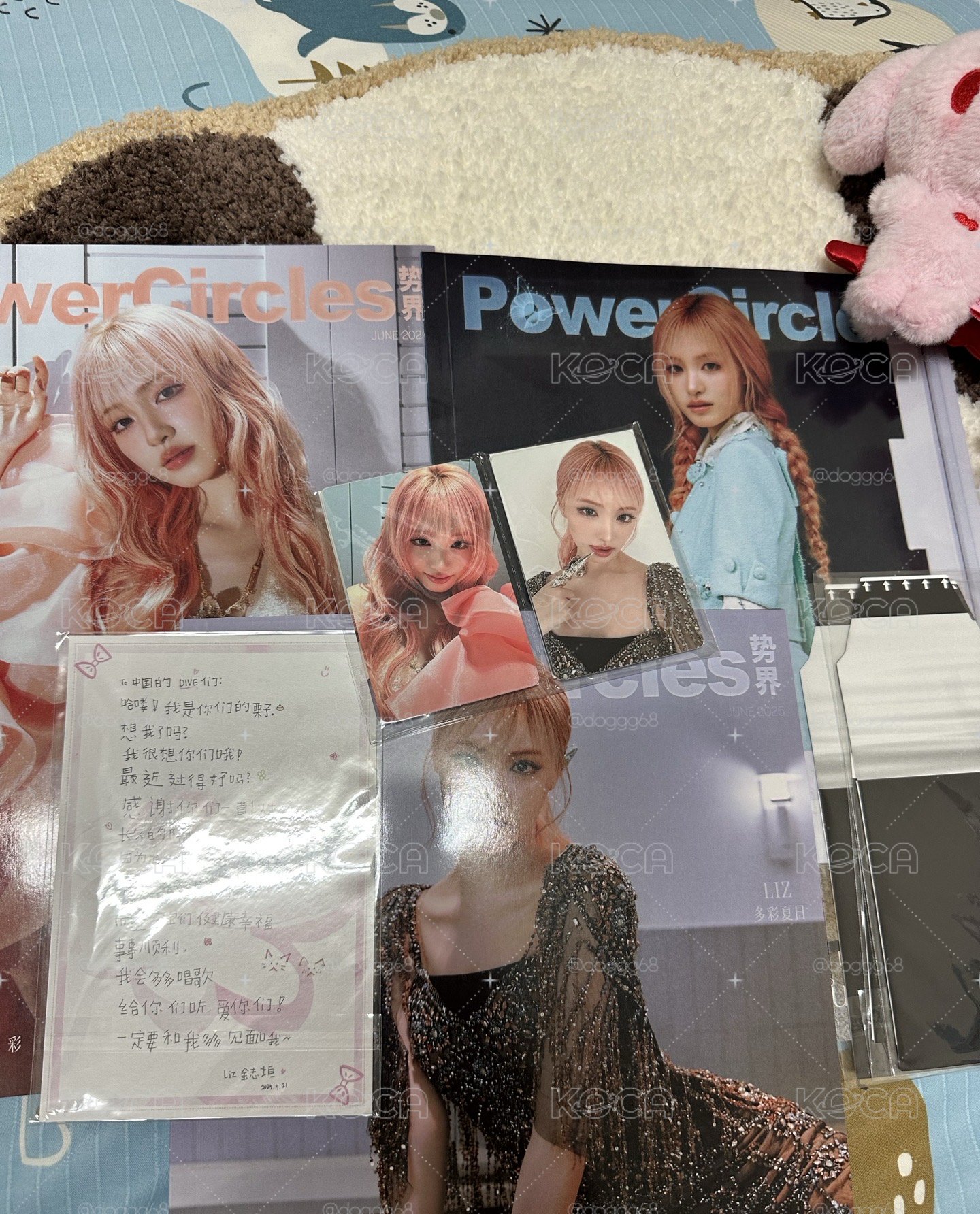  LIZ 勢界雜誌 D版