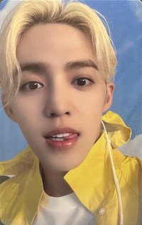 MINI11 wvs carat ver. 特典卡 雨衣盤特典