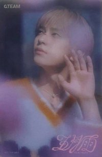 五月雨 塔店 通路 特典卡 透卡