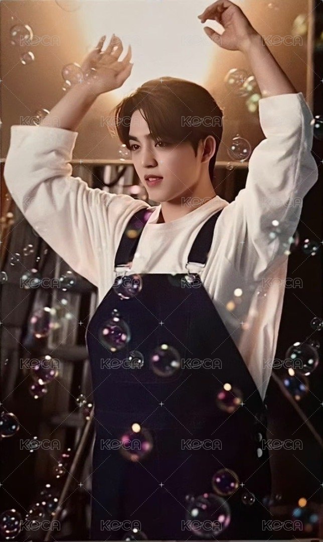 DREAM hmv 特典卡 ｜特典 正面