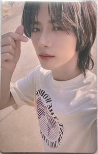 改版專 FOE wvs 特典卡 